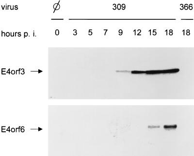 FIG. 8