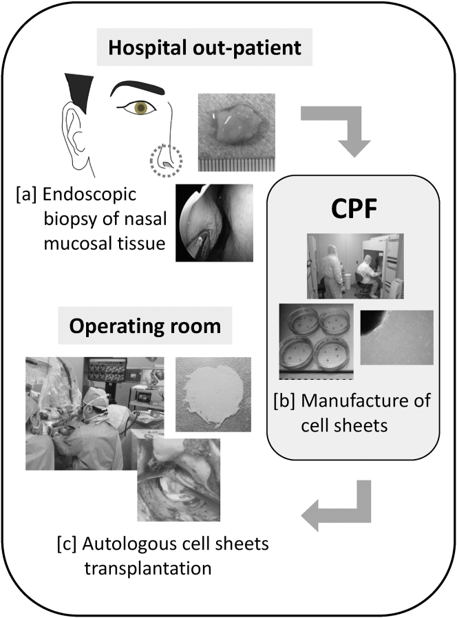 Fig. 1