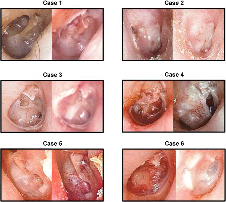 Fig. 4