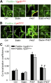 Fig. 6.