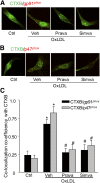 Fig. 3.