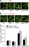 Fig. 7.