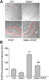 Fig. 8.