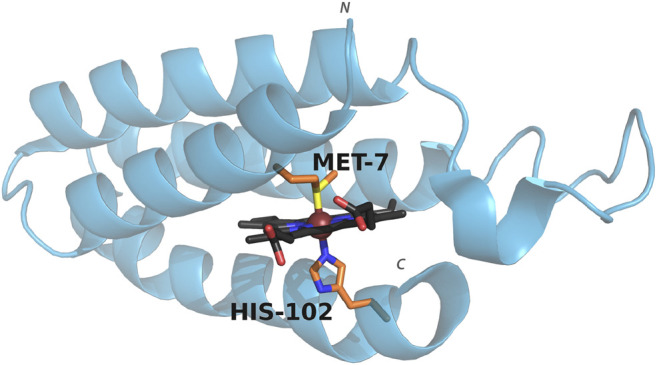 FIGURE 1