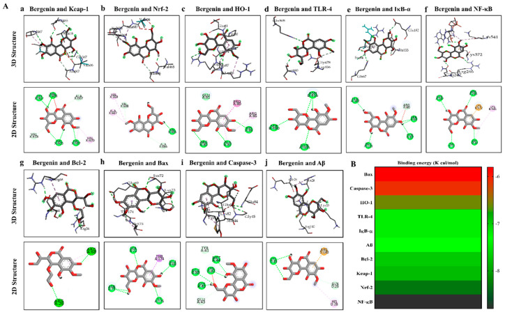 Figure 13