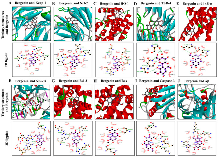 Figure 14