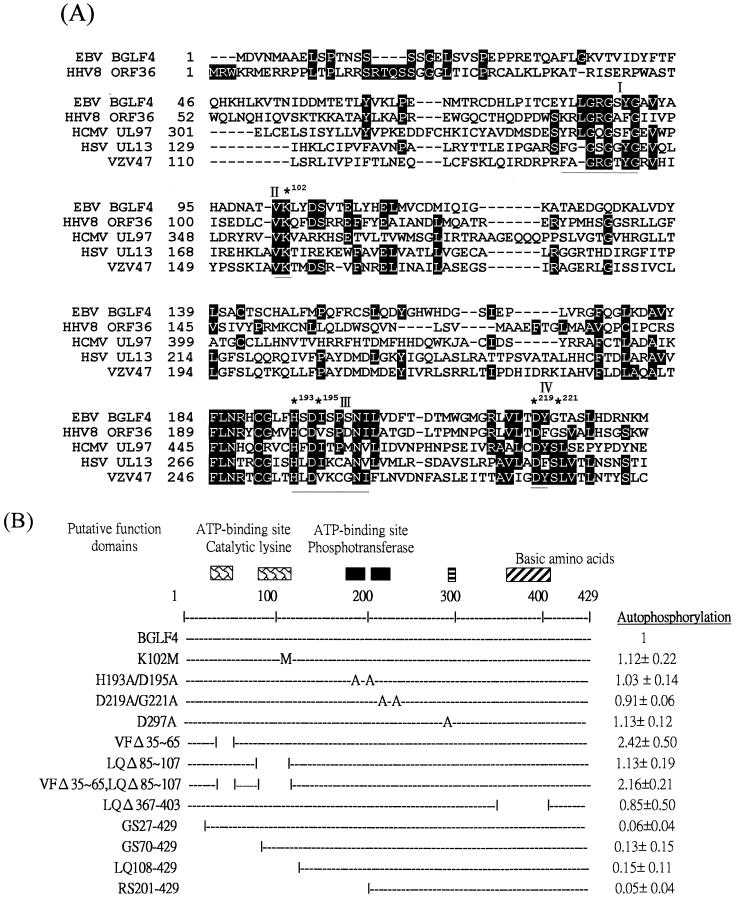 FIG. 10