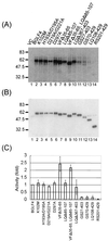 FIG. 11