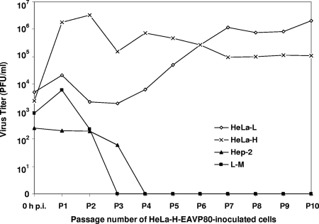 FIG. 5.