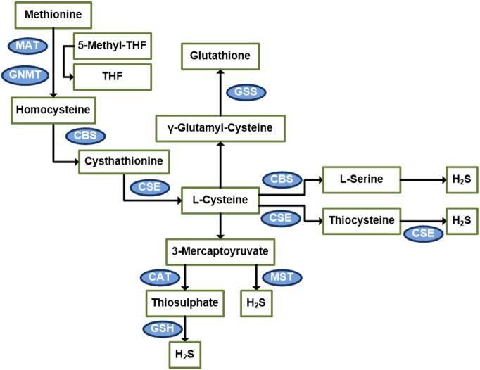 Fig. 1