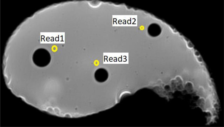 Fig. 7