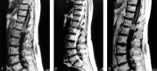 <sc>fig</sc> 1.