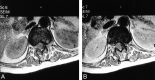 <sc>fig</sc> 4.