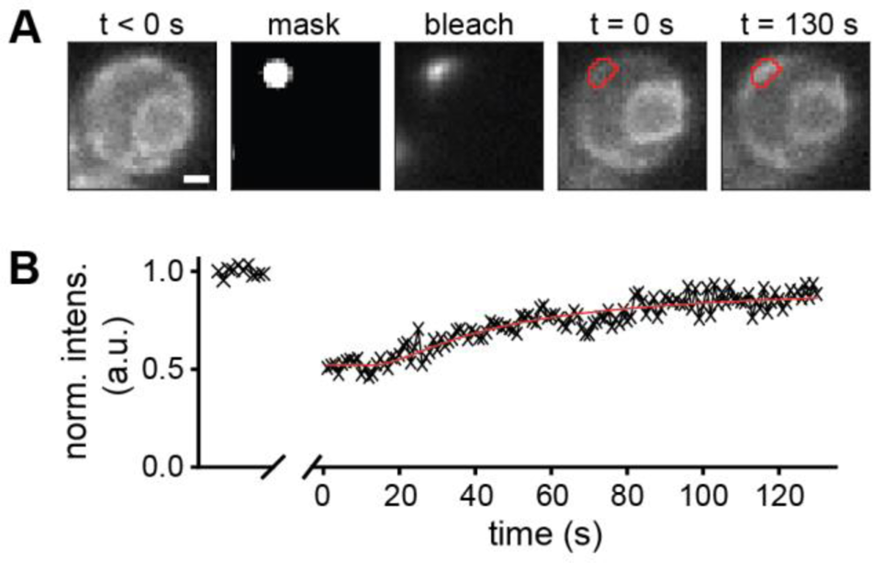 Figure 2: