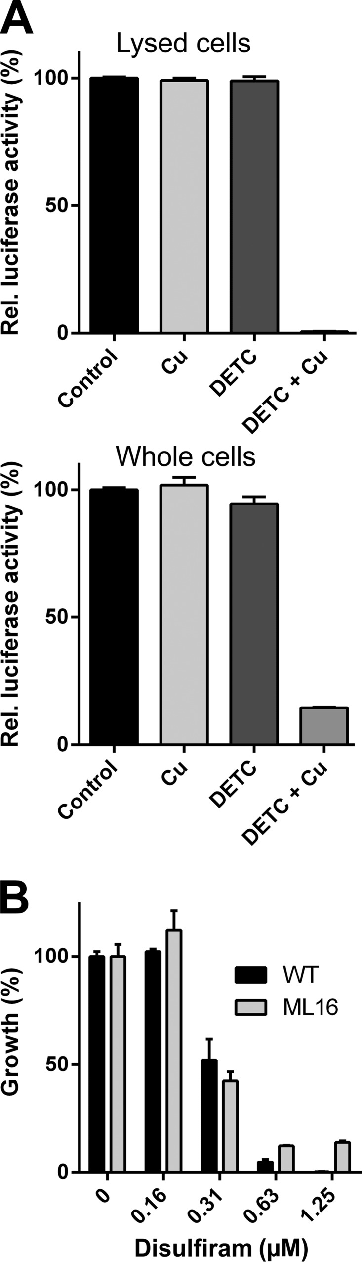 FIG 5