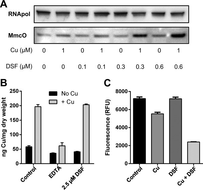 FIG 6