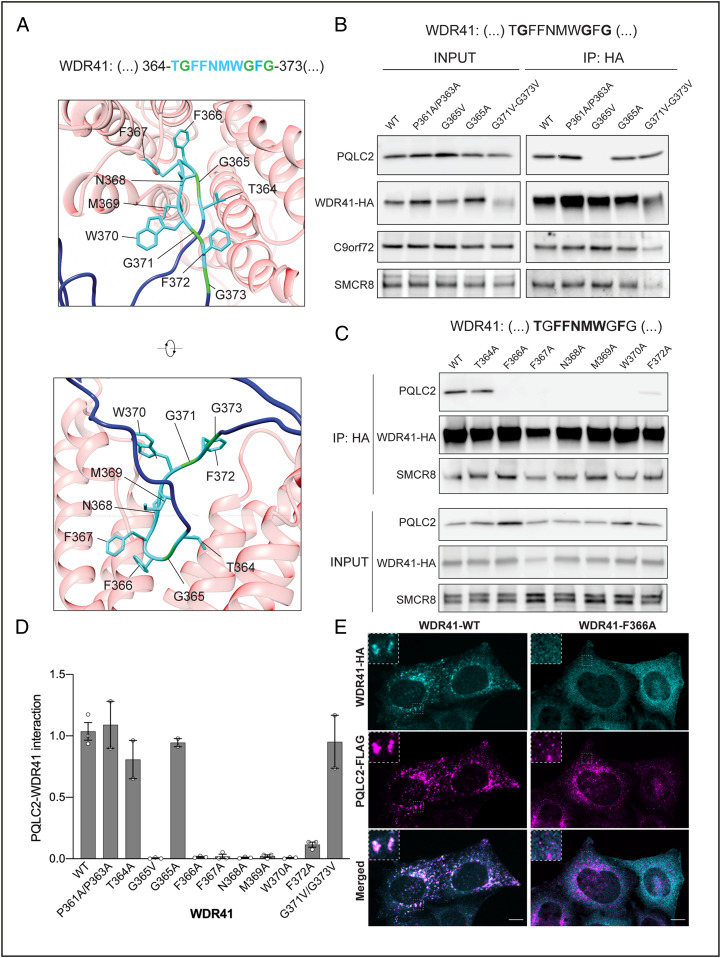 Fig. 3.