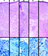 FIG. 1.