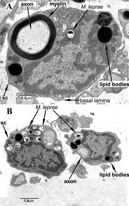 FIG. 7.