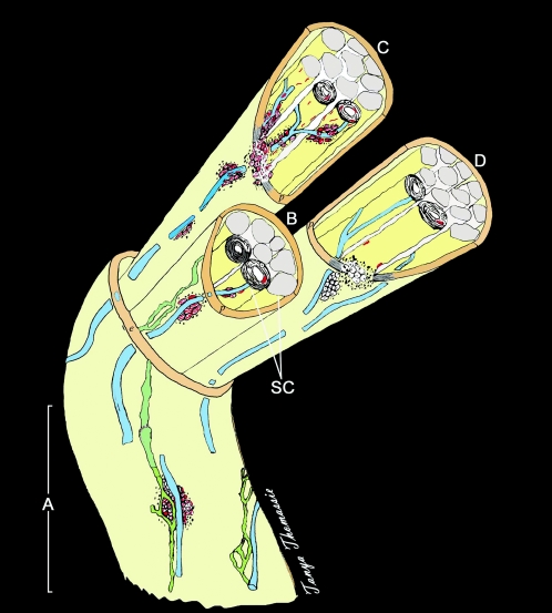 FIG. 6.