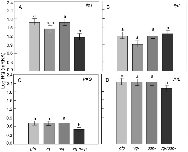 Figure 7