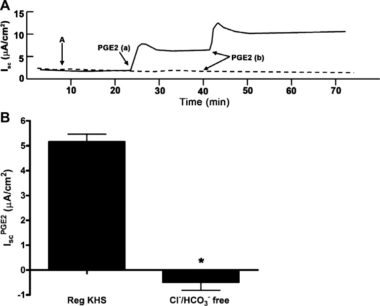 Fig. 8.