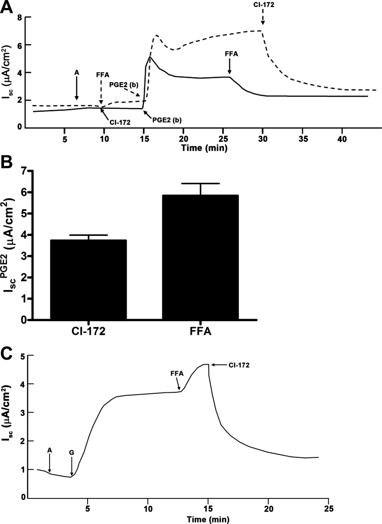 Fig. 17.