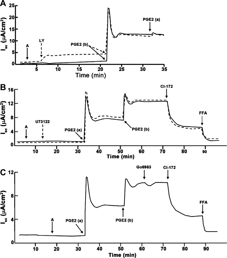 Fig. 13.