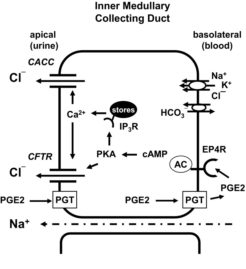 Fig. 18.