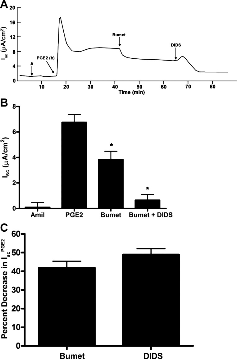 Fig. 10.