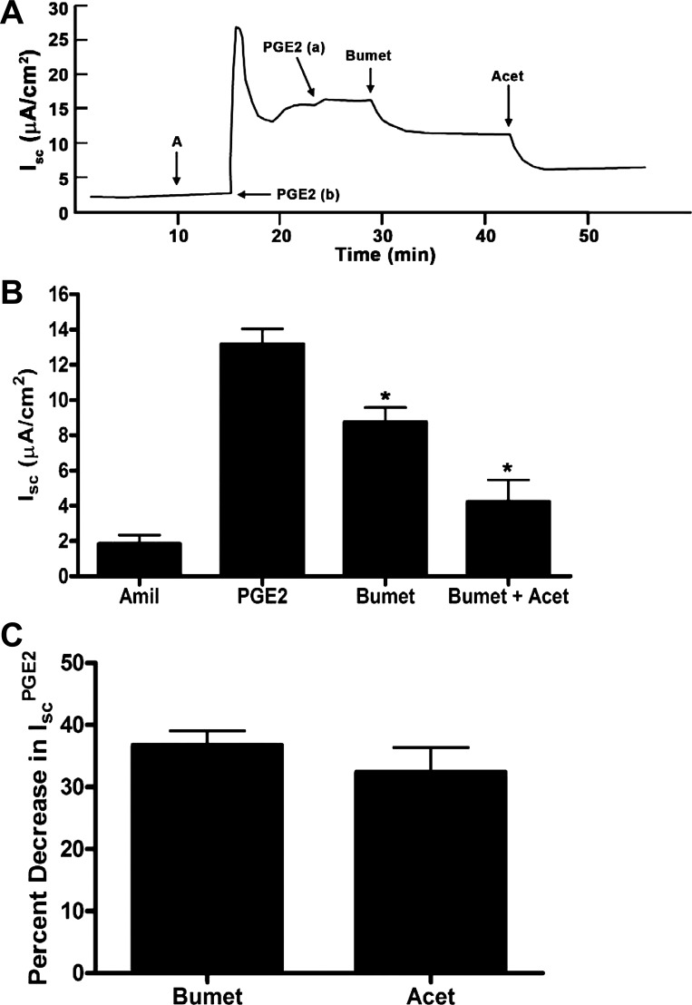 Fig. 11.