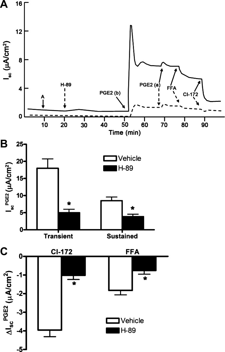 Fig. 12.