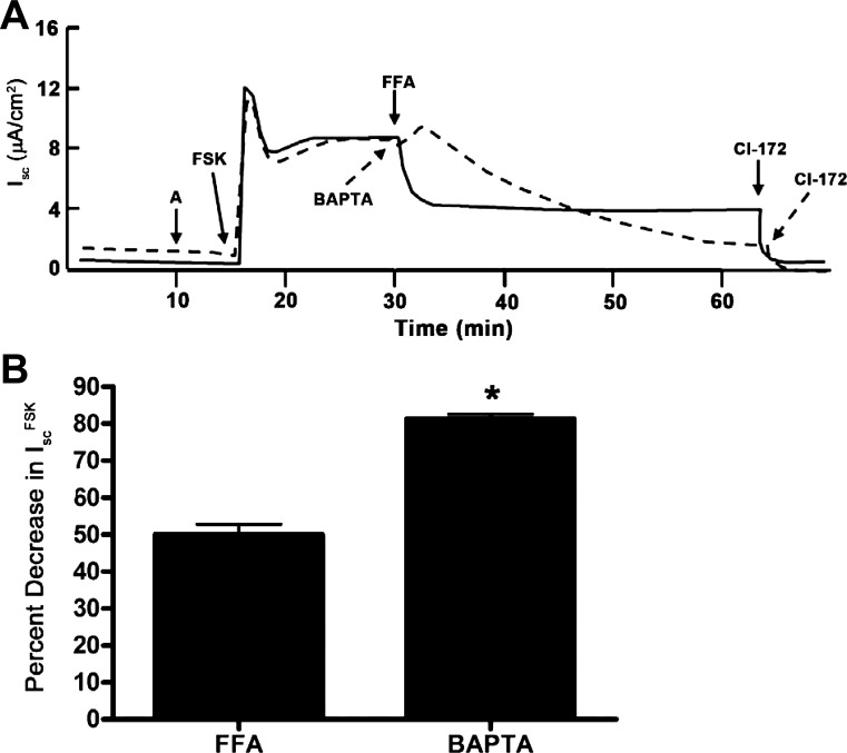 Fig. 16.