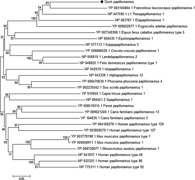 Fig. 3