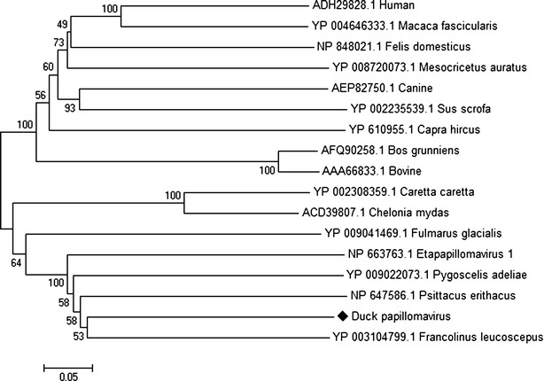 Fig. 4