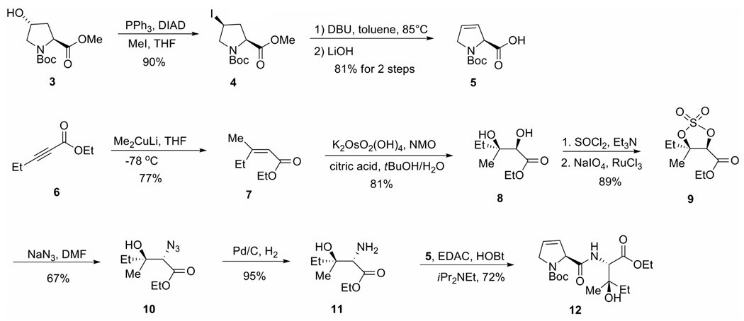 Scheme 1