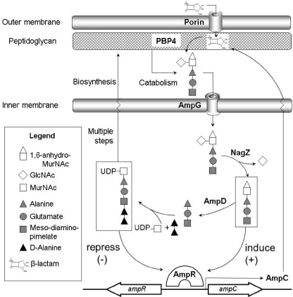 Fig. 1.