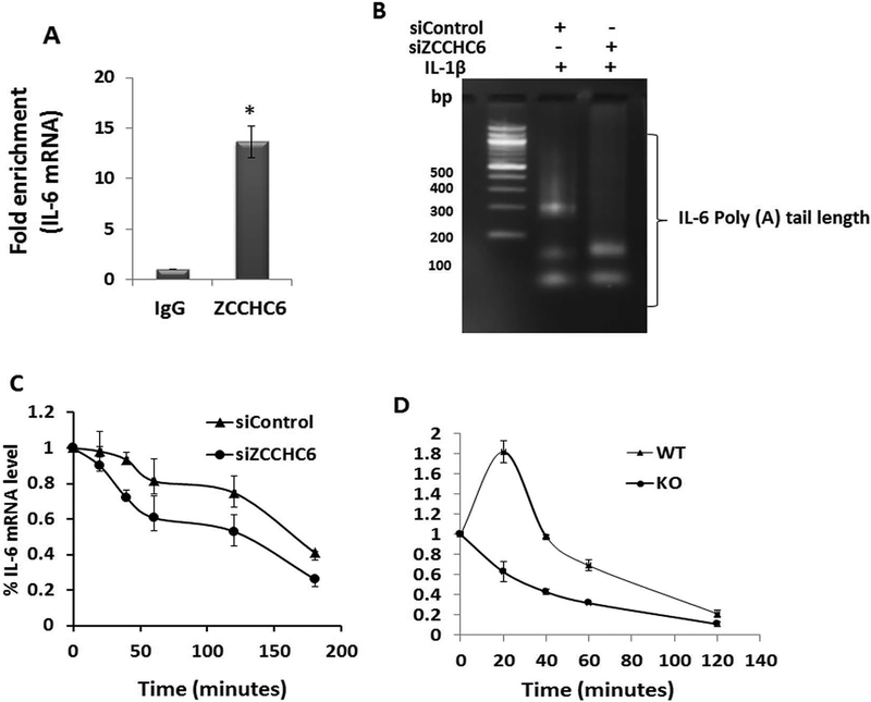 Figure 4: