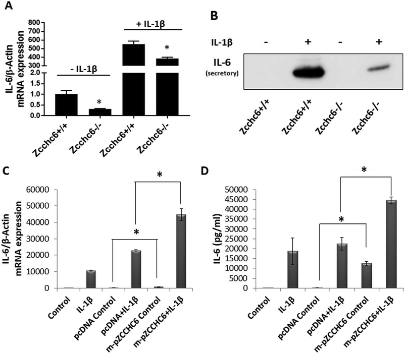 Figure 3: