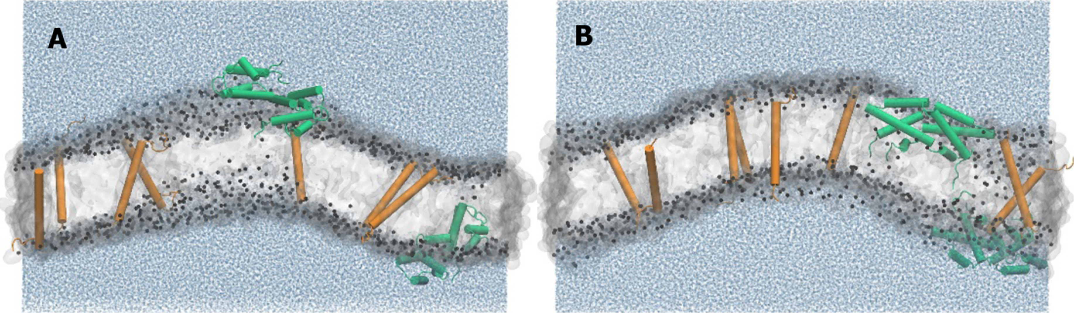 Figure 5.