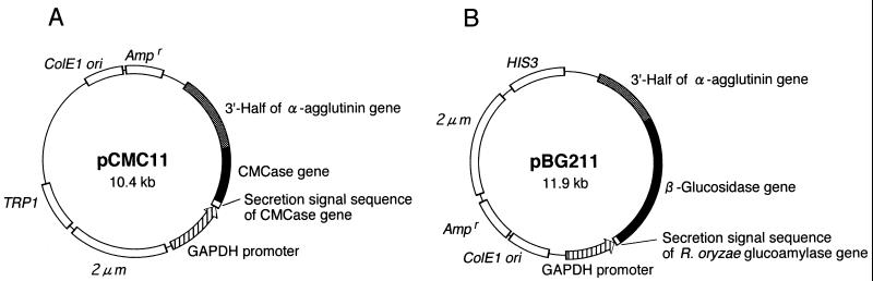 FIG. 1