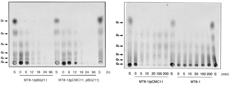 FIG. 5