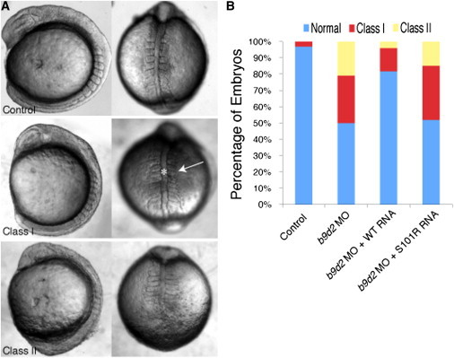 Figure 6