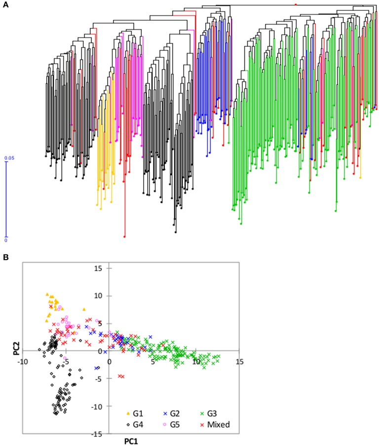 Figure 5