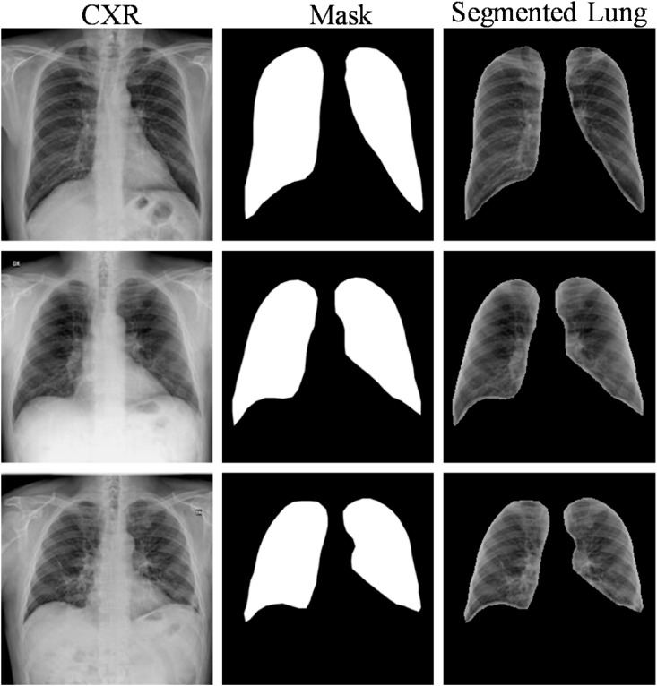 Fig. 7