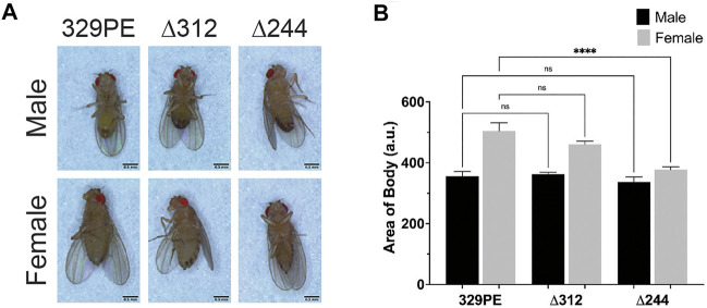 FIGURE 2