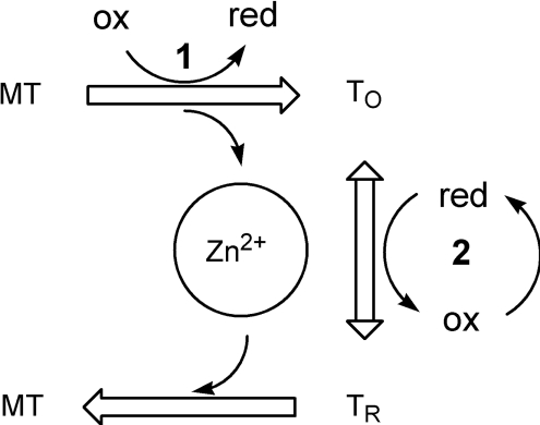 Scheme 2