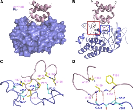 Figure 3.