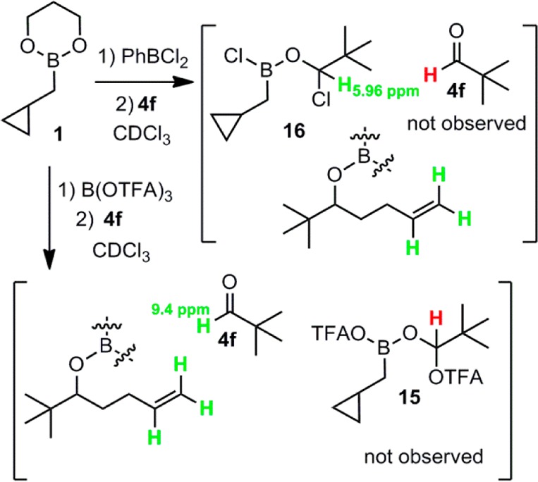 Scheme 2