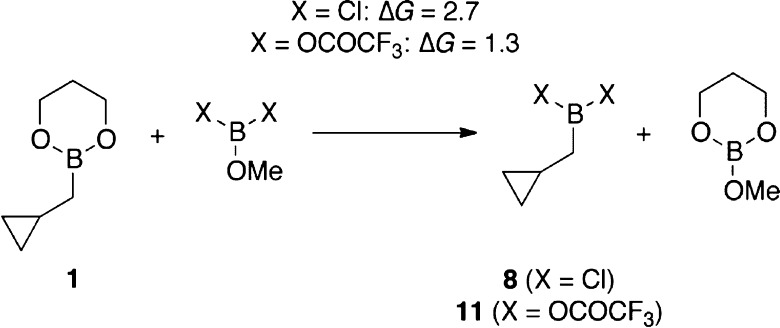 Scheme 5